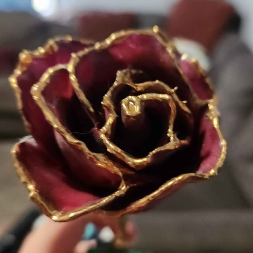 Elegant Gold-Trimmed Rose Accent